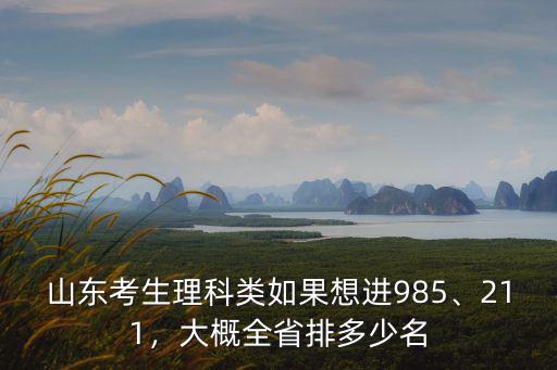 山東考生理科類如果想進985、211，大概全省排多少名