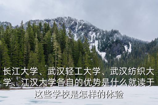 武漢江漢中學怎么樣,武漢輕工大學