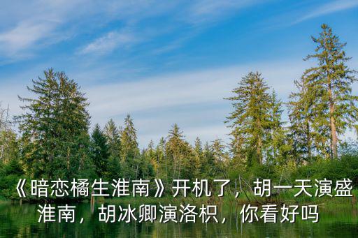 《暗戀橘生淮南》開機(jī)了，胡一天演盛淮南，胡冰卿演洛枳，你看好嗎