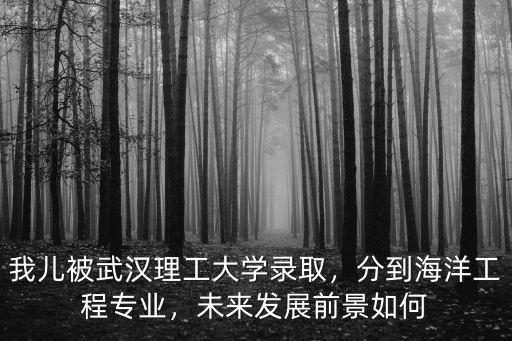 武漢理工大學海洋工程類船舶與海洋怎么樣,分到海洋工程專業