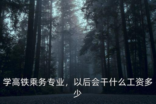合肥高鐵乘務員的工資多少,一個月工資多少