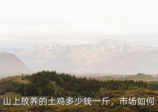 山上放養的土雞多少錢一斤，市場如何