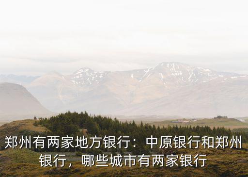 鄭州銀行怎么樣有幾個網點,鄭州有兩家地方銀行