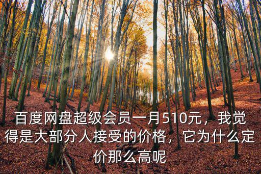 百度網盤超級會員一月510元，我覺得是大部分人接受的價格，它為什么定價那么高呢