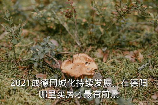 德陽建興在哪里,在德陽哪里買房才最有前景