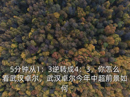 5分鐘從1：3逆轉成4：3，你怎么看武漢卓爾，武漢卓爾今年中超前景如何