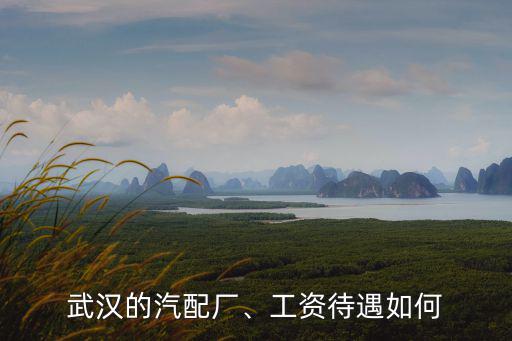 武漢祥鑫達(dá)汽配廠招聘工資怎么樣,武漢東風(fēng)汽配廠待遇怎么樣
