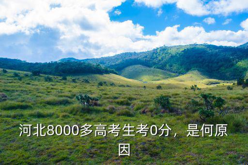 河北考生有多少零分,河北8000多高考生考0分