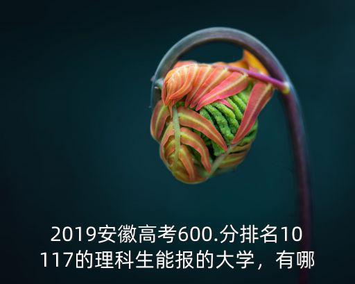 2019安徽高考600.分排名10117的理科生能報的大學，有哪