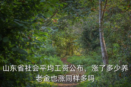 2019滁州社會平均工資多少,山東省社會平均工資公布