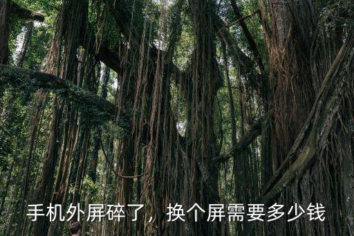 合肥換個手機屏幕要多少錢一個,換個屏需要多少錢