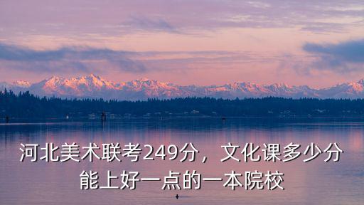 河北美術聯考249分，文化課多少分能上好一點的一本院校