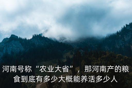 河南號稱“農業大省”，那河南產的糧食到底有多少大概能養活多少人