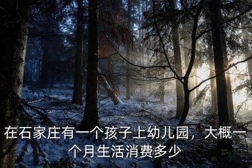 在石家莊有一個孩子上幼兒園，大概一個月生活消費多少