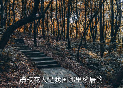 攀枝花攀北社區在哪里,你為什么選擇在攀枝花生活