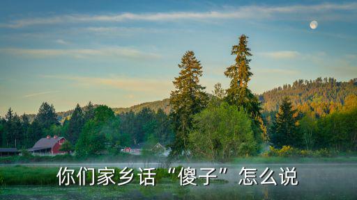 湖北罵別人傻子怎么說,你們家鄉話傻子怎么說