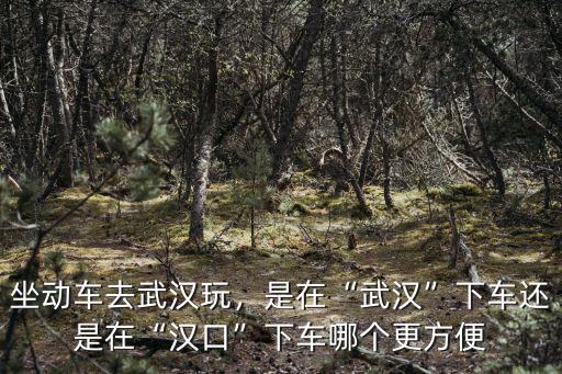 武漢到漢口怎么坐車最方便,是在武漢下車還是在漢口下車