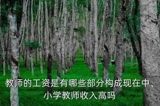 教師的工資是有哪些部分構(gòu)成現(xiàn)在中、小學(xué)教師收入高嗎