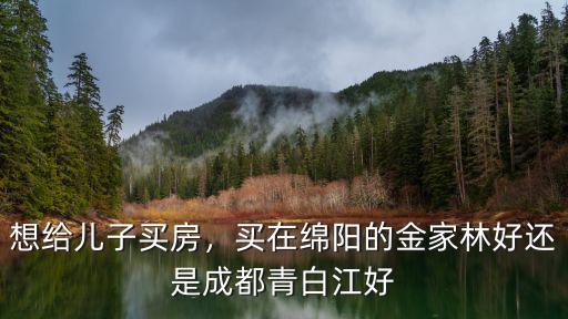 在綿陽投資買房最好買在哪里,四川綿陽現在適合買房嗎