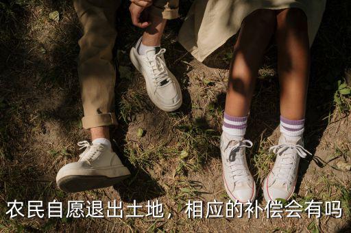 阜陽農民自愿退出耕地補償多少,農村耕地自愿有償永久退出