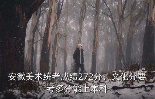 安徽美術生多少分能上本科,安徽美術統考成績272分