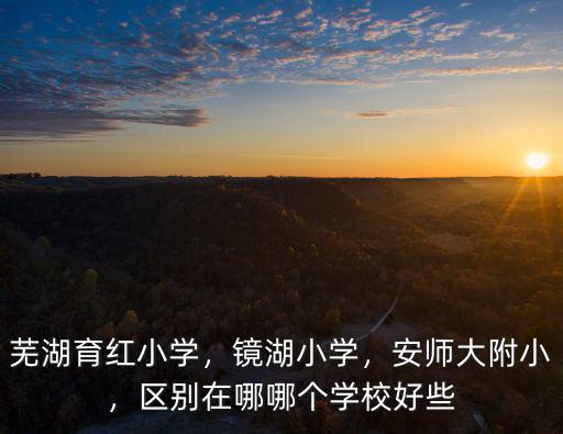 蕪湖鏡湖小學多少班,蕪湖育紅小學