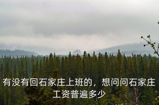 有沒有回石家莊上班的，想問問石家莊工資普遍多少