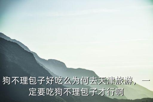 成都哪里有天津狗不理包,狗不理包子好吃么