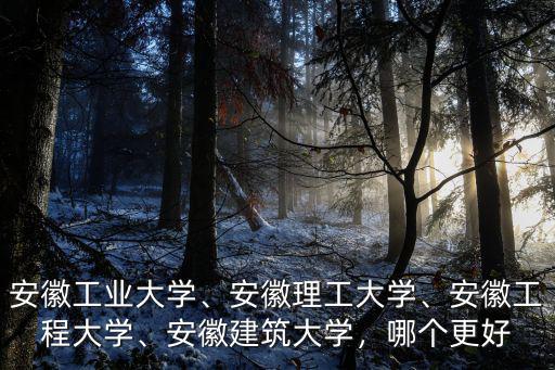 安徽建筑工程大學有多少學校,安徽工業大學