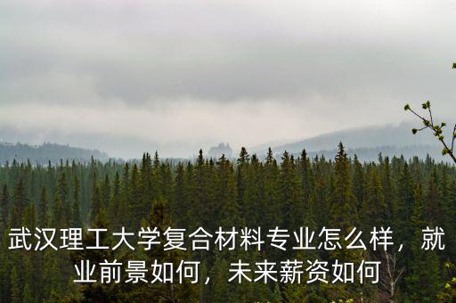 武漢理工大學復合材料專業怎么樣，就業前景如何，未來薪資如何