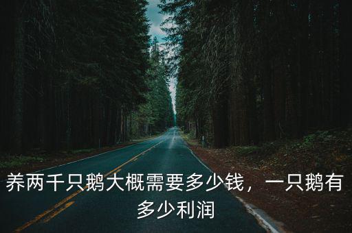 養兩千只鵝大概需要多少錢，一只鵝有多少利潤