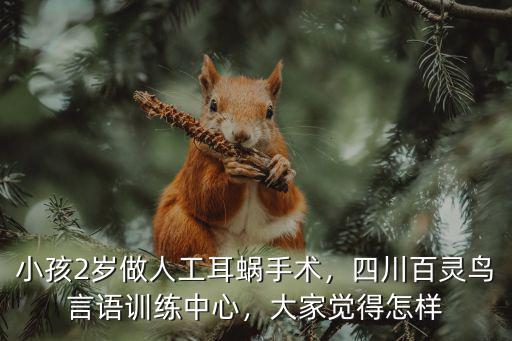 小孩2歲做人工耳蝸手術(shù)，四川百靈鳥言語訓練中心，大家覺得怎樣
