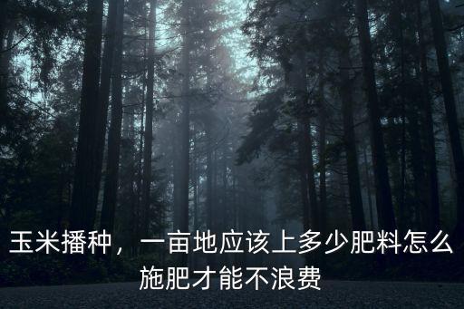 一畝地玉米施多少復合肥,一畝地應該上多少肥料