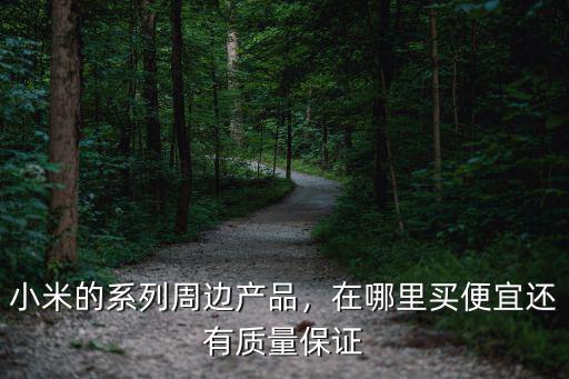 綿陽買小米在哪里買,在哪里買便宜還有質量保證