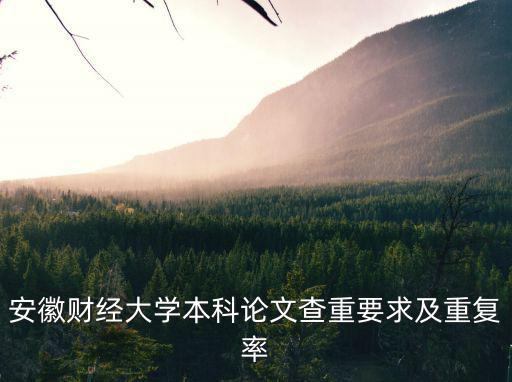 安徽財經大學本科論文查重要求及重復率