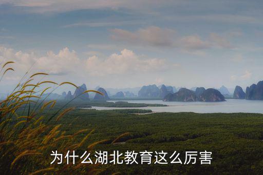 湖北畢上教育怎么樣,湖北的教育水平怎么樣