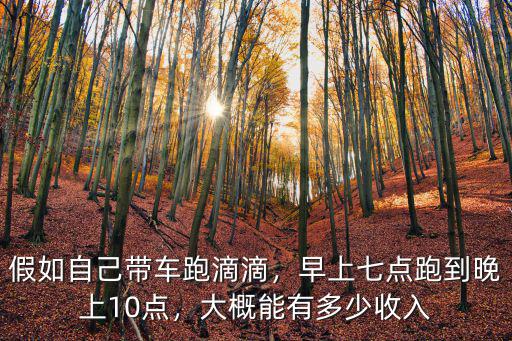 淮北市跑滴滴車一天有多少收入,一天大概能有多少收入