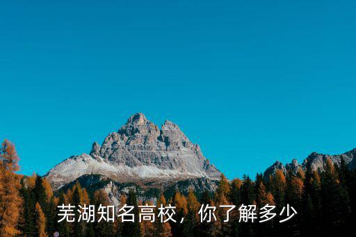 蕪湖市高校共有多少學(xué)生,安徽蕪湖市有哪些高校