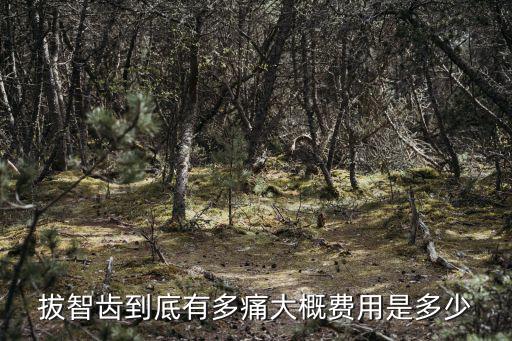 成都拔智齒在哪里拔好 醫院還是牙醫,拔智齒去醫院還是去口腔診所