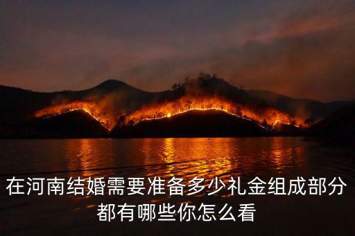 在河南結(jié)婚需要準(zhǔn)備多少禮金組成部分都有哪些你怎么看