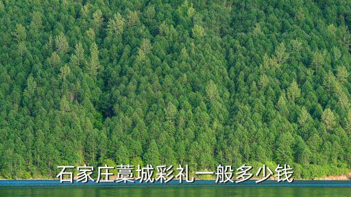 石家莊藁城彩禮一般多少錢