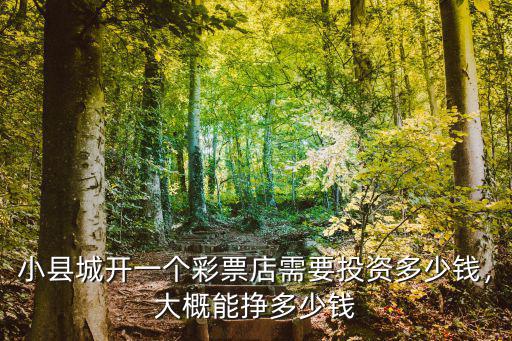 安慶開福彩店多少錢,大概能掙多少錢