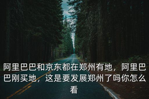 阿里巴巴和京東都在鄭州有地，阿里巴巴剛買地，這是要發展鄭州了嗎你怎么看