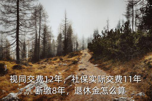 武漢斷繳社保退休金怎么計(jì)算,退休金怎么算
