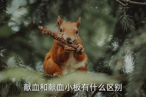 安慶血站獻血小板多少錢,血小板多久獻一次