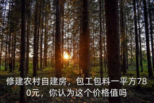 修建農村自建房，包工包料一平方780元，你認為這個價格值嗎