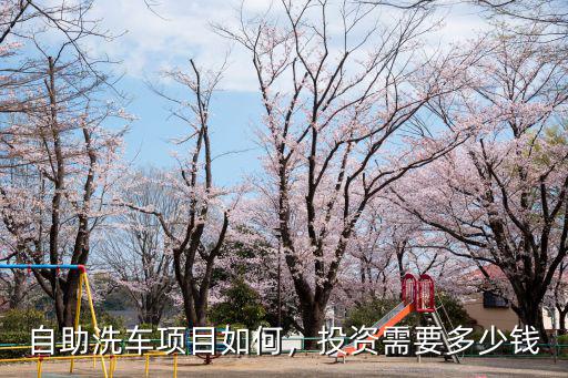 自助洗車項目如何，投資需要多少錢