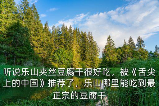 樂山豆腐干夾蘿卜絲哪里有賣,樂山美食攻略有哪些