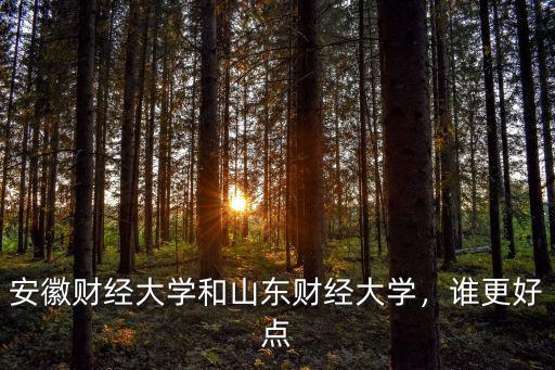 安徽財經大學績點4.14多少算優秀,如何評價安徽財經大學