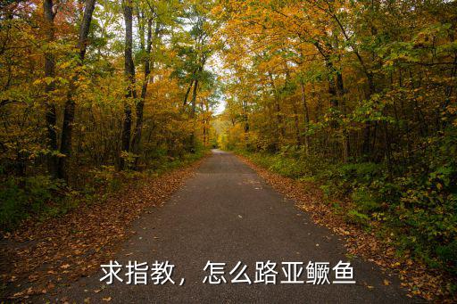 漯河境內哪里可以路亞鱖魚,晚上可以路亞鱖魚嗎